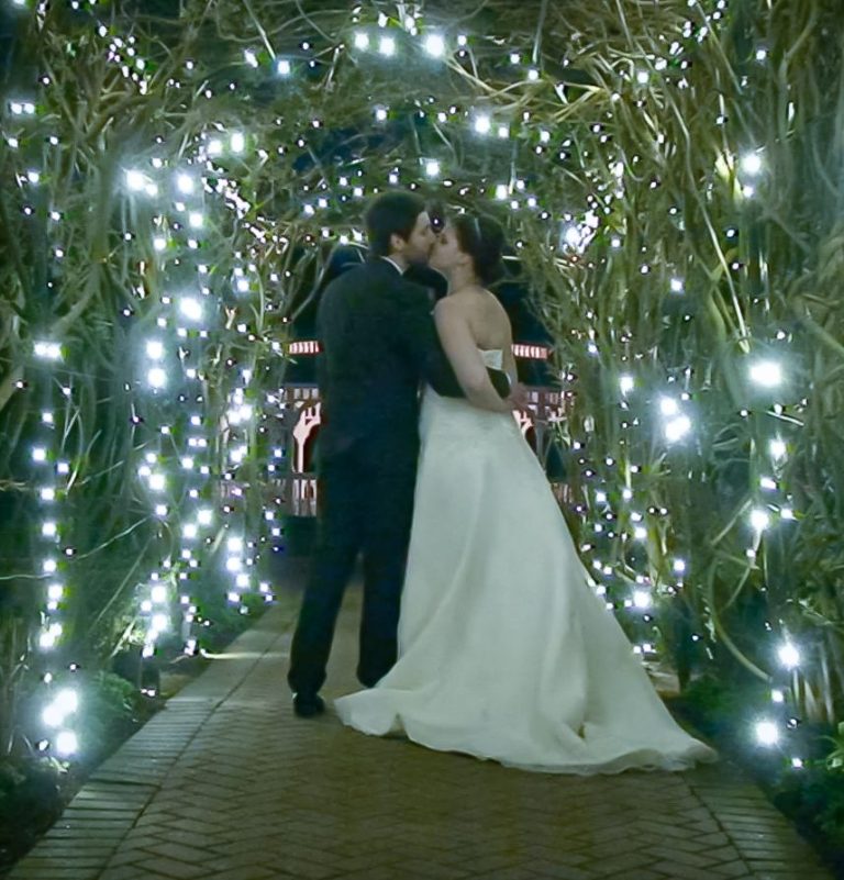 The photo shows a bride and groom embracing in a kiss under a trellis of cool white lights.